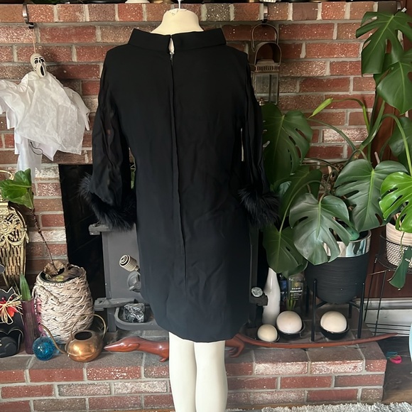 Vintage 60s Shift dress with Chiffon sleeves and Maribou trim - Picture 4 of 5